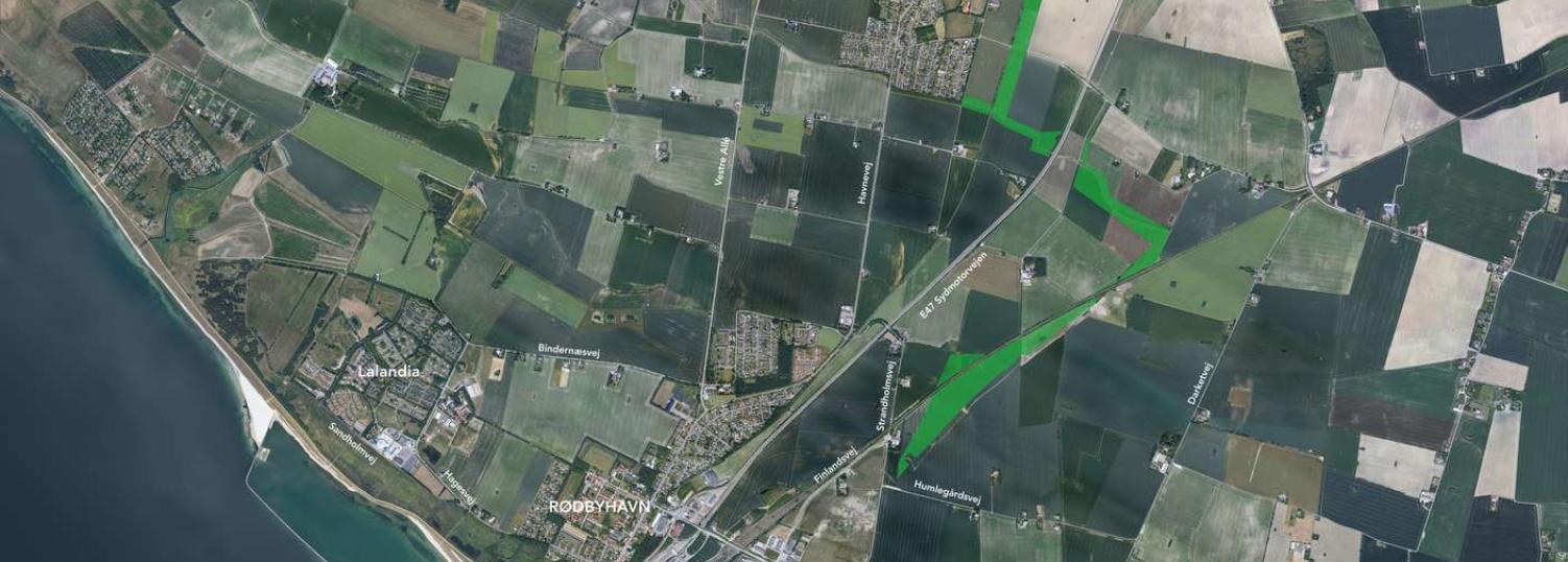 Naturområde-femern-belt-evelopment