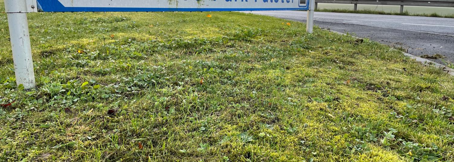 business-park-falster-femern-belt-development