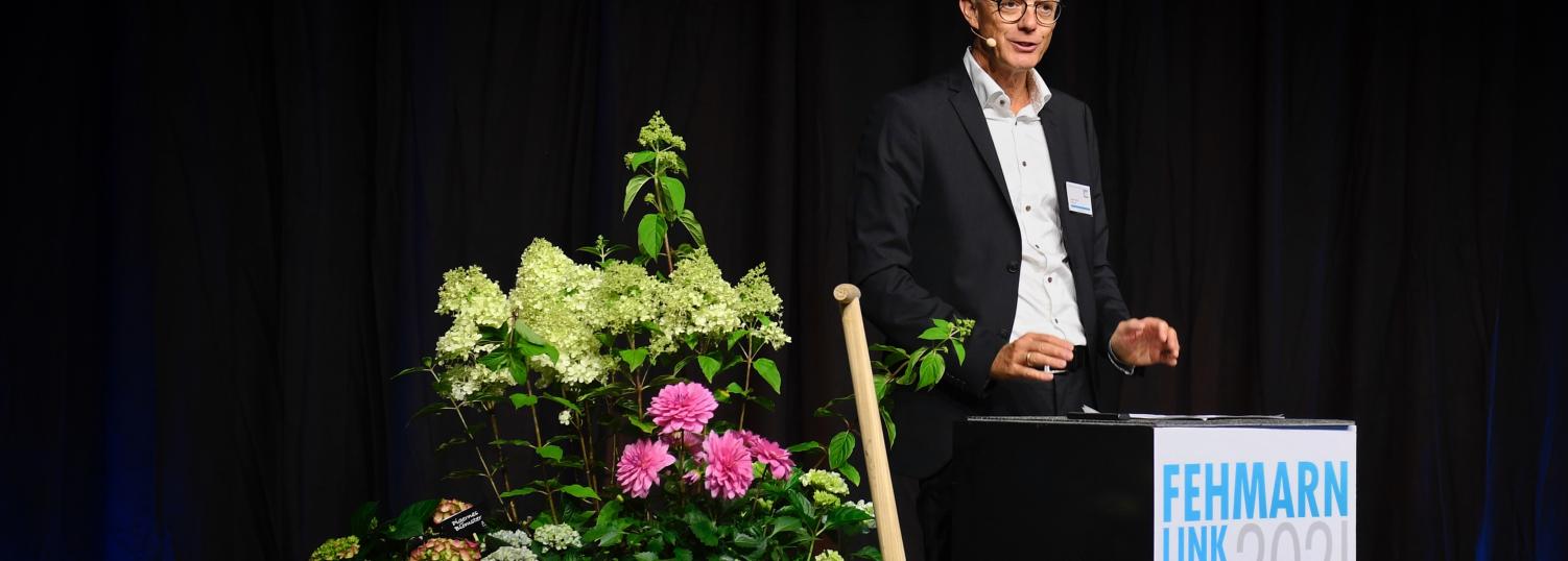 flbc-femern-belt-development