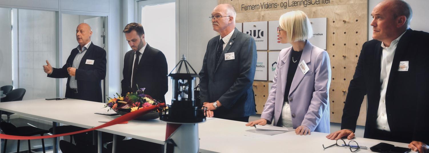 vlc-femern-belt-development