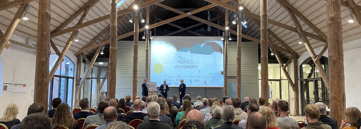 flic-femern-belt-development