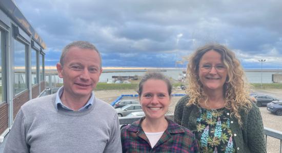 dtu-dag-femern-belt-devdelopment