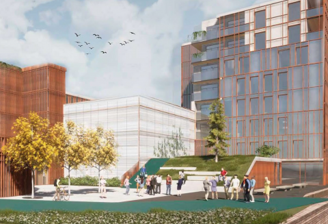 bach-gruppen-femern-belt-development